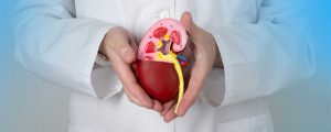 nephrology billing services