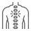 Minimally Invasive Spine Surgery (MISS)