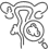 Endometrial Biopsy