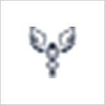 Physician Revenue Solutions medical company logo.