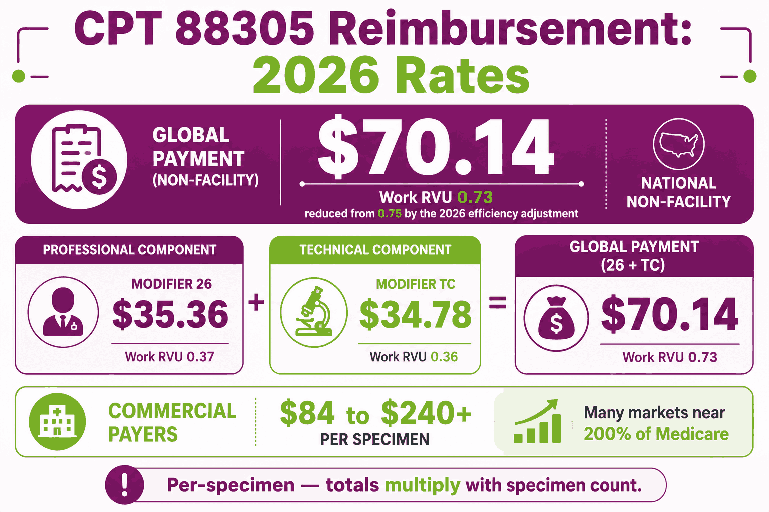 CPT Code 88305: Description, Cost, Scenarios, and Rules