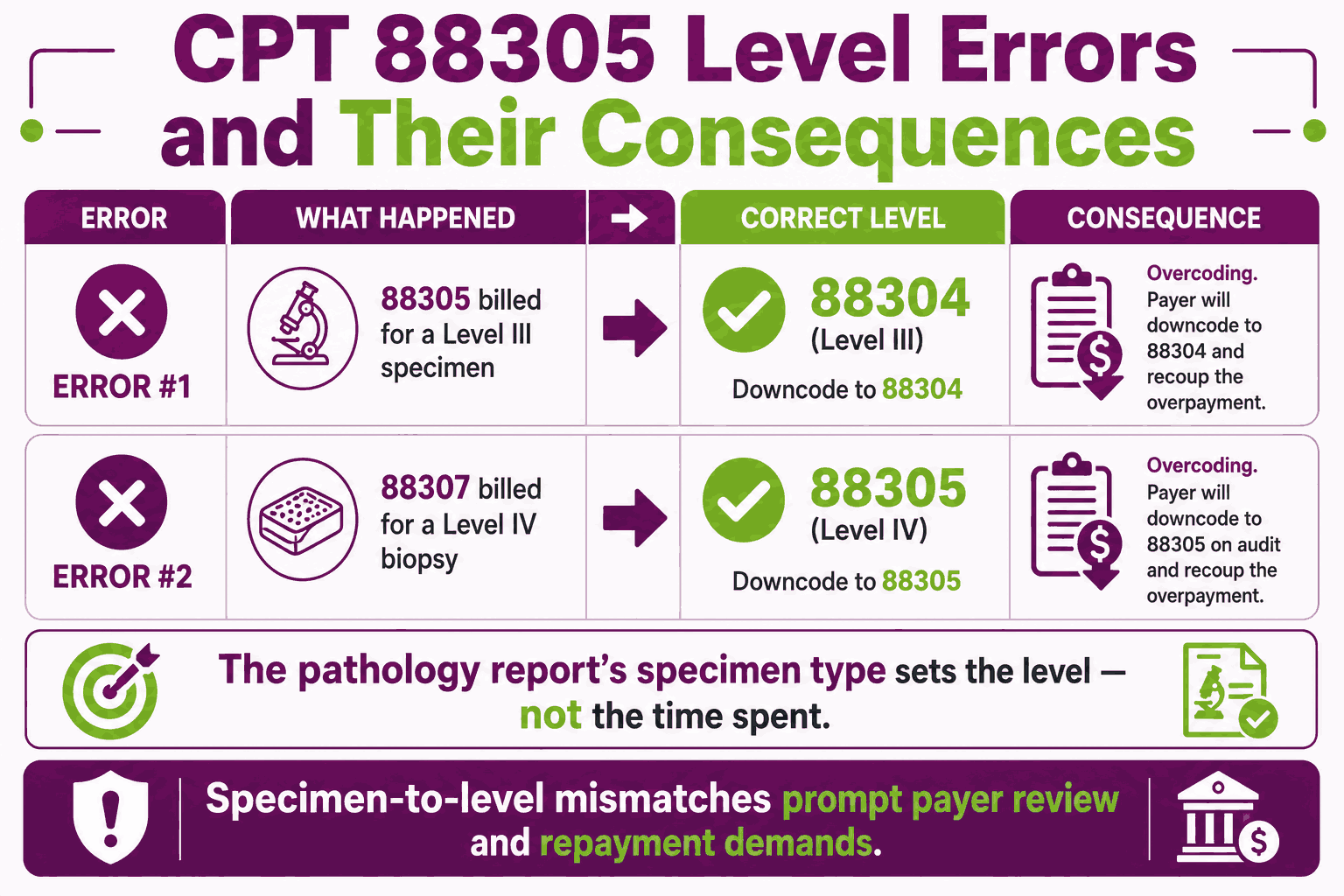 CPT Code 88305: Description, Cost, Scenarios, and Rules
