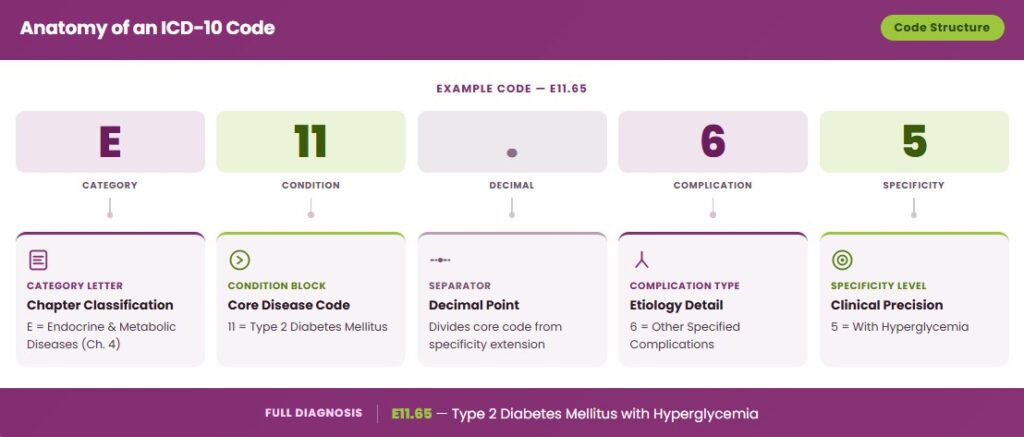 anatomy of an ICD-10 code