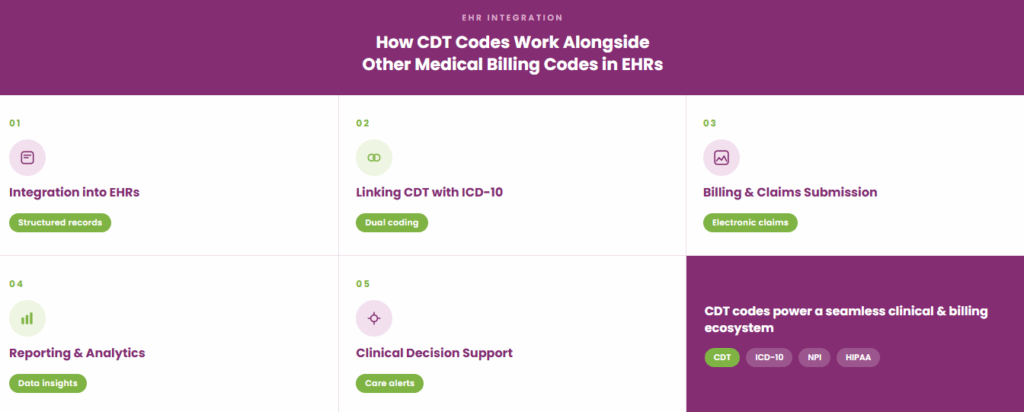 How CDT codes work alongside other medical billing codes in EHRs