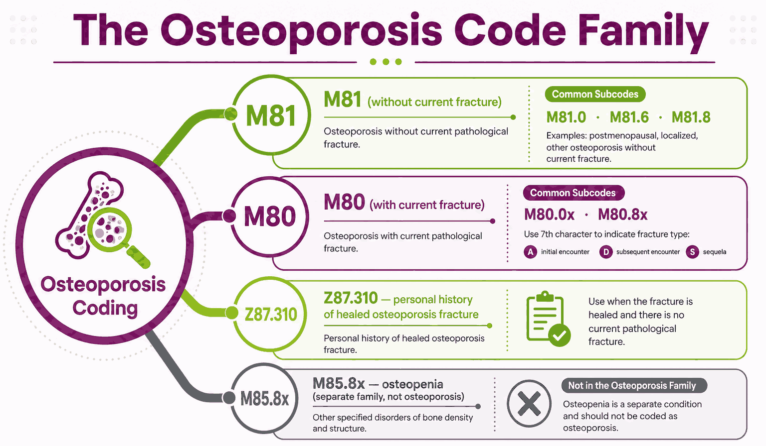 Osteoporosis ICD-10 Codes (M80 and M81): 2026 Coding Guide