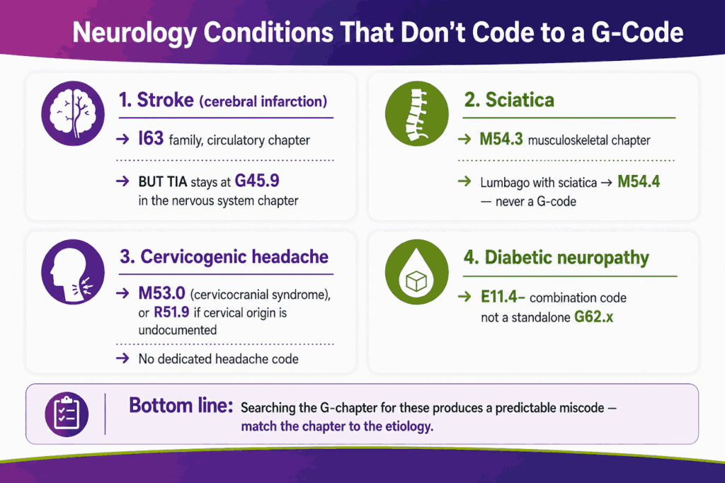 neurology conditions