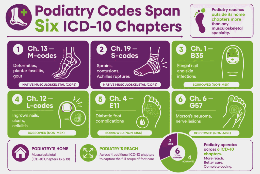 Podiatry Codes Span six ICD 10 chapters