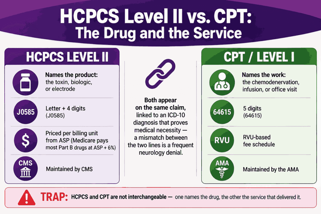 HCPCS Level II vs. CPT The Drug and the Service