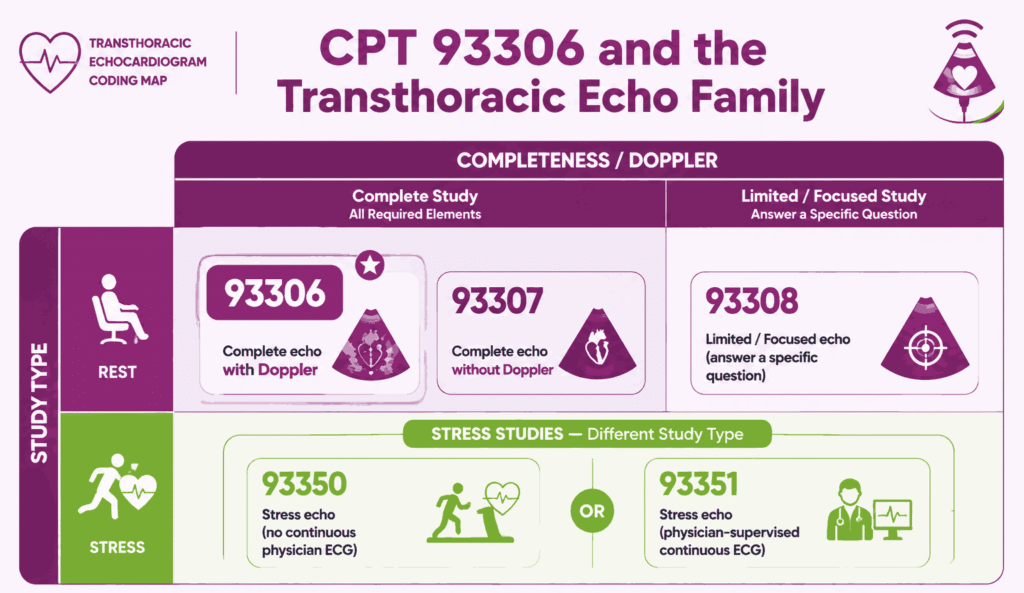 Family-map infographic placing CPT 93306 among 93307, 93308, and stress echo codes 93350 and 93351 by completeness, Doppler, and rest versus stress