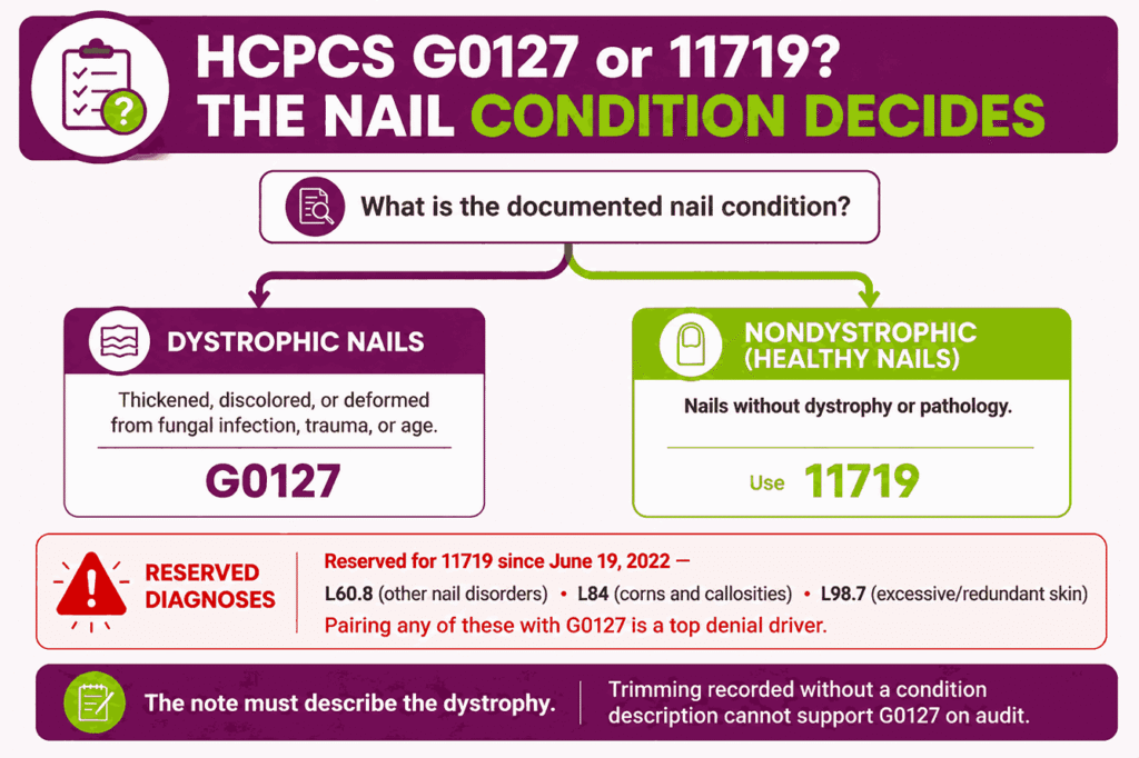 Decision infographic showing dystrophic nails code to HCPCS G0127 while nondystrophic nails and diagnoses L60.8, L84, and L98.7 route to CPT 11719