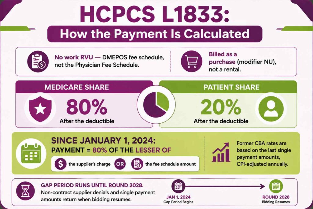 Infographic showing HCPCS L1833 DMEPOS payment with the 80/20 split and the competitive bidding gap period pricing formula in effect since January 2024