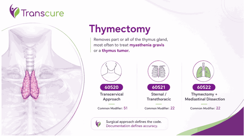Thymectomy