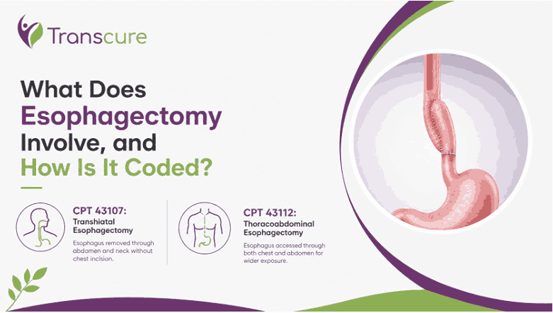 What Does Esophagectomy Involve, and How Is It Coded
