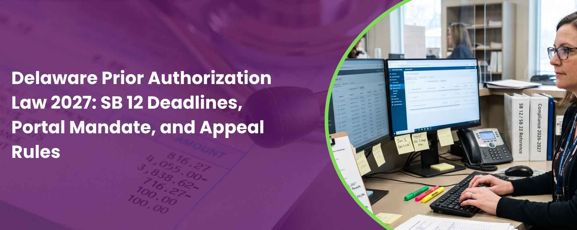 Delaware Prior Authorization Law 2027 SB 12 Deadlines, Portal Mandate, and Appeal Rules