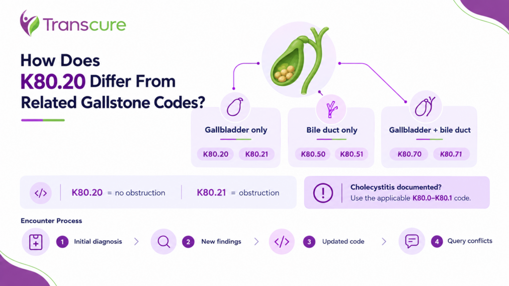 How Does K80.20 Differ From Related Gallstone Codes?