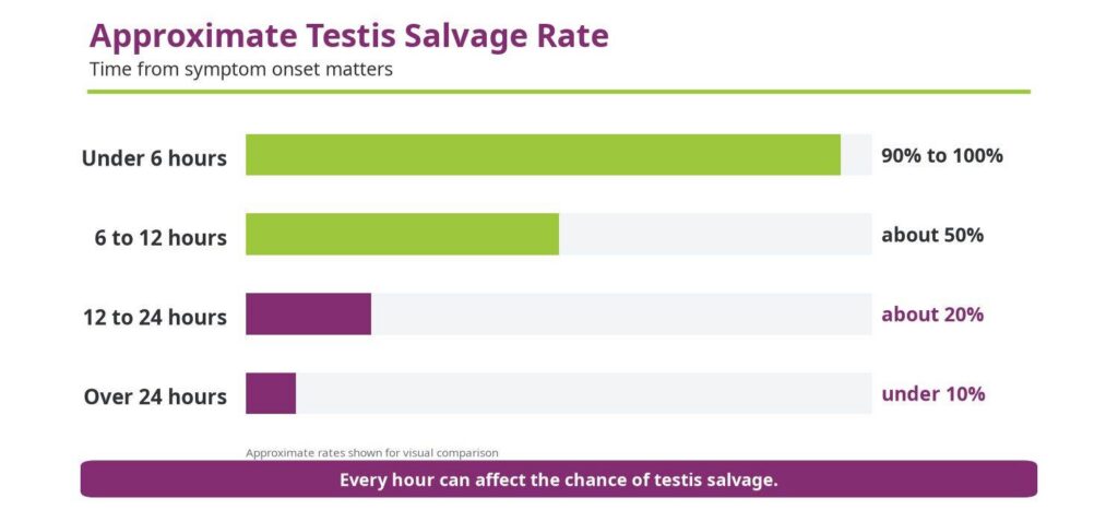 testis_salvage_rate_by_time_1500x700